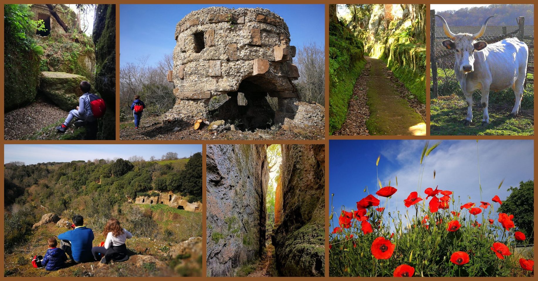 I più bei sentieri etruschi di Blera (VT) – Escursioni gratuite