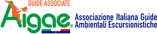 aigae logo